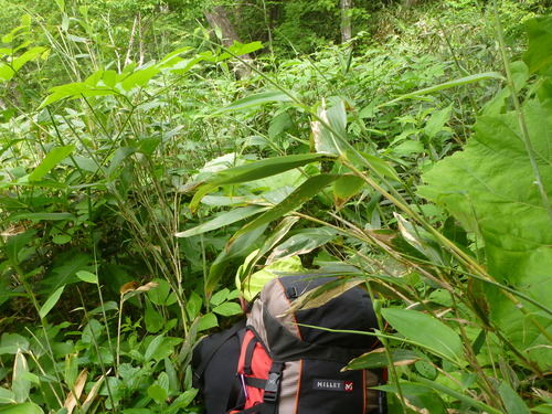 f0130376_20374094.jpg