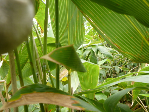 f0130376_20375455.jpg