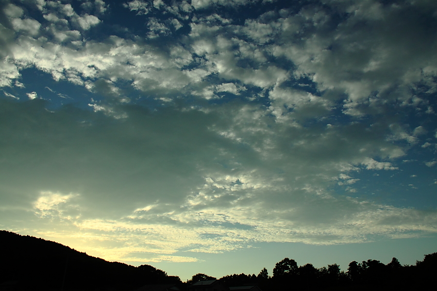 e0249878_2311479.jpg