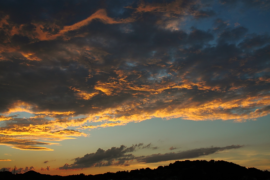 e0249878_23134389.jpg
