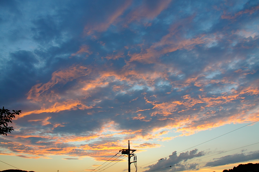 e0249878_23144016.jpg