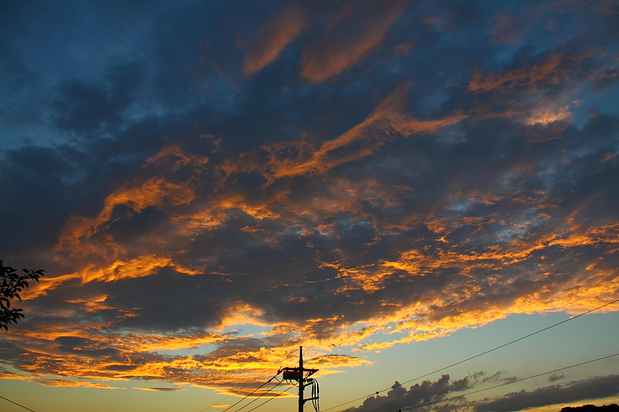 e0249878_2314660.jpg