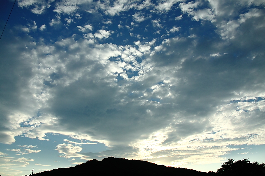 e0249878_2382522.jpg