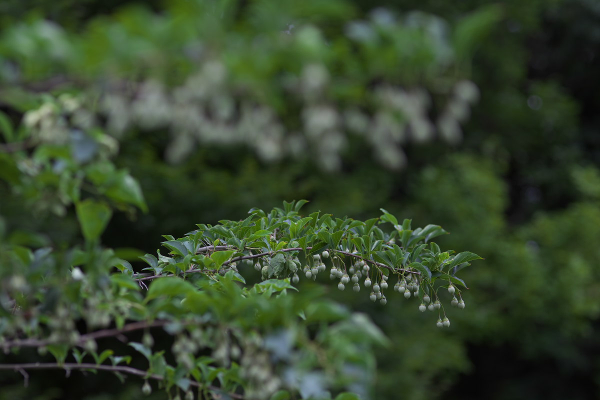 a0083081_17201237.jpg