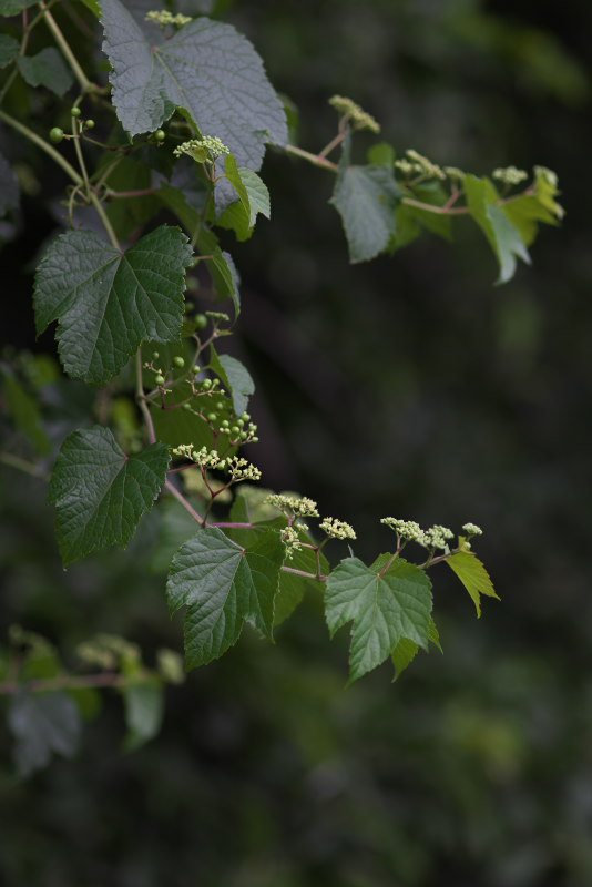 a0083081_17213450.jpg