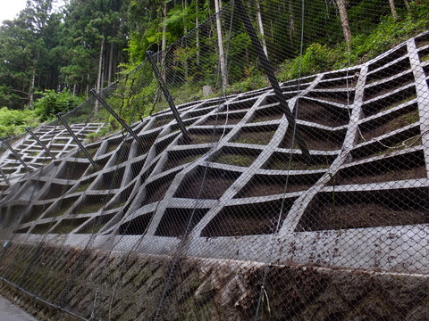 a0043982_163319.jpg