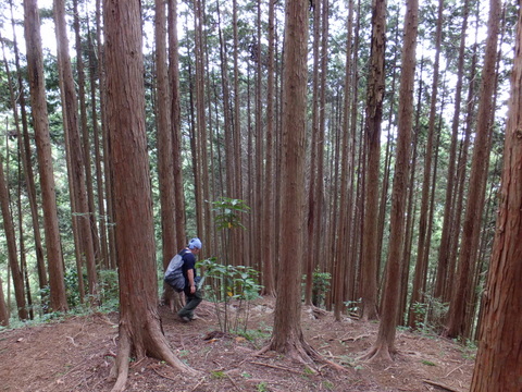 a0043982_16341982.jpg