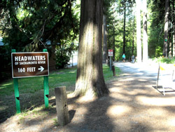 c0063182_1334420.jpg