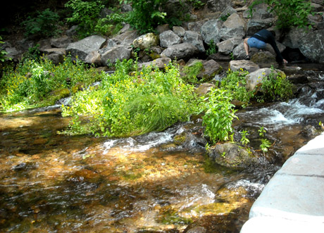 c0063182_1342663.jpg