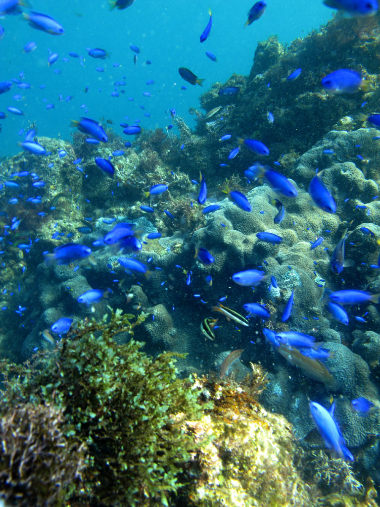 a0216086_14123198.jpg