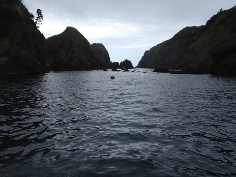 a0216086_1419757.jpg