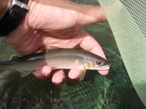 c0146788_1652189.jpg