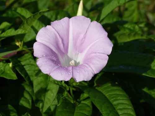 c0146788_1652210.jpg