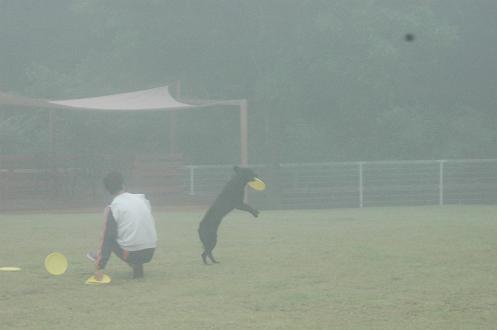 c0123890_14355246.jpg