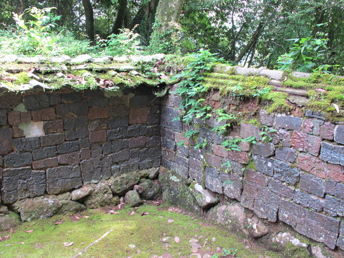 a0166196_17502775.jpg