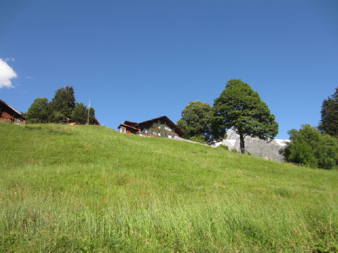 c0180096_18204230.jpg