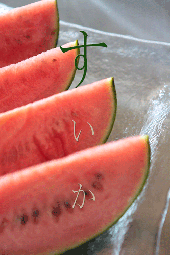 f0128096_1491226.gif