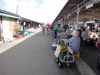 e0122199_15505349.jpg