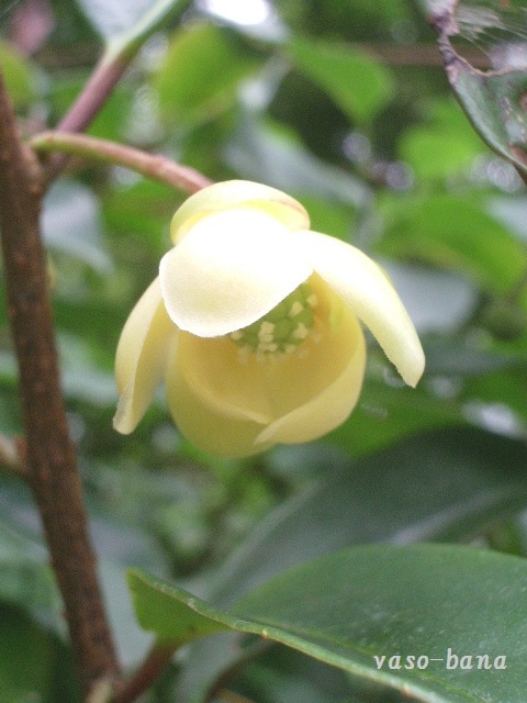 e0025300_14372310.jpg