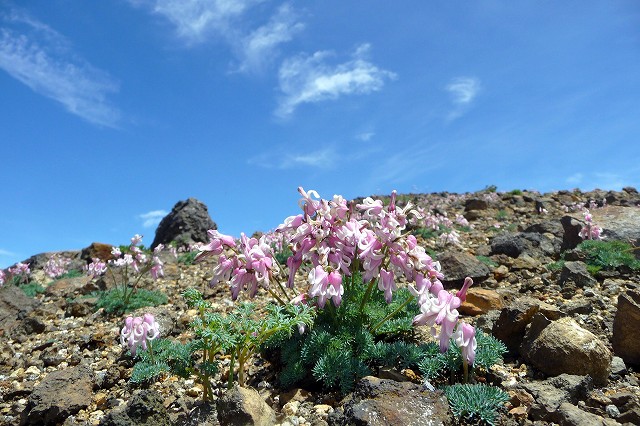 e0137200_2058524.jpg