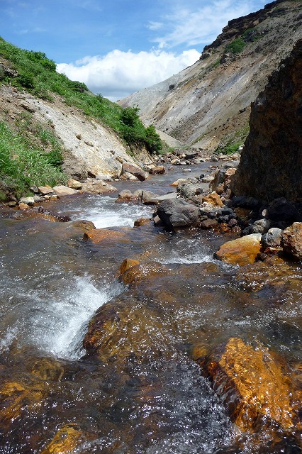 e0137200_210925.jpg