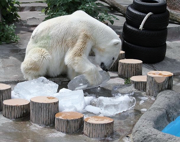 c0155902_21382055.jpg
