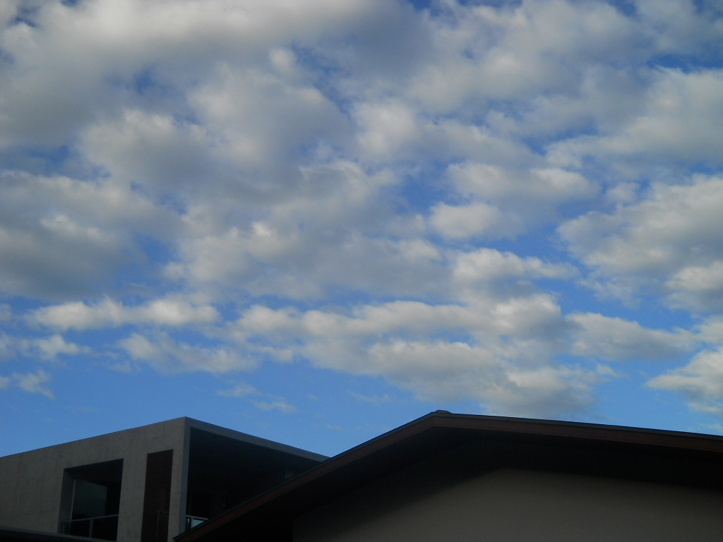 f0146802_18524641.jpg