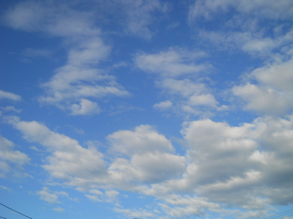 f0146802_18593676.jpg