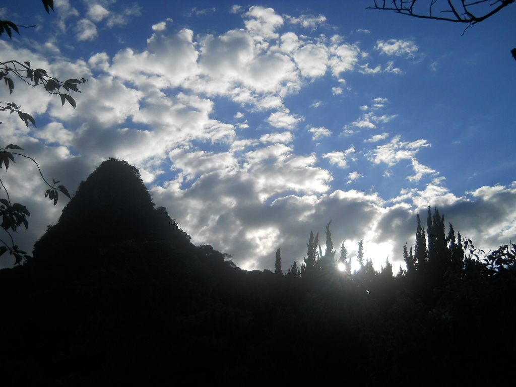 f0146802_1923882.jpg
