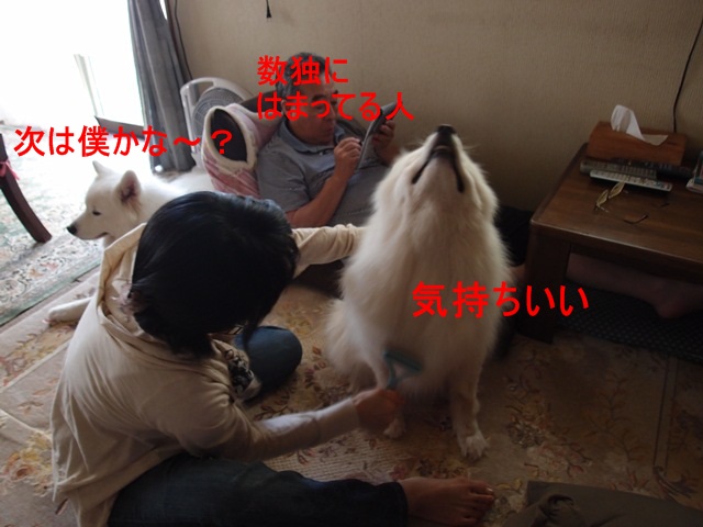 e0018604_10502873.jpg