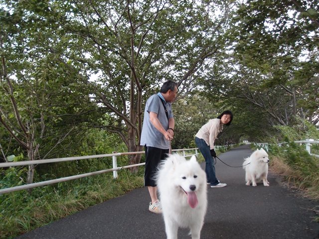 e0018604_10592492.jpg