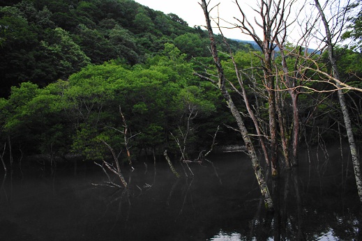 e0123808_0453730.jpg