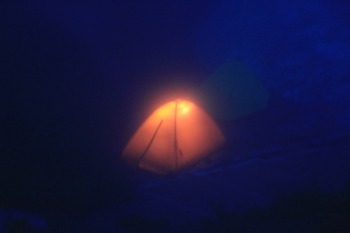 e0000910_839556.jpg