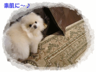 b0167519_1404256.gif