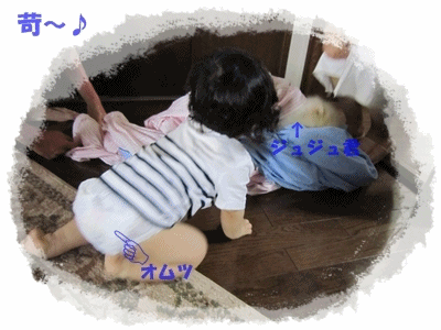 b0167519_1431858.gif