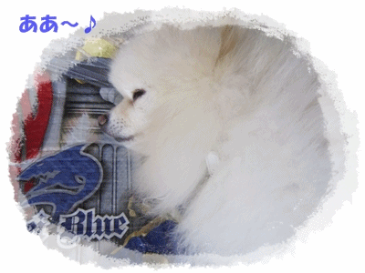 b0167519_1452723.gif