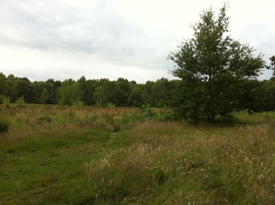 e0114020_18354434.jpg