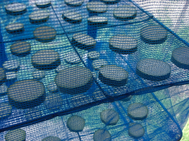 d0167621_21464752.jpg
