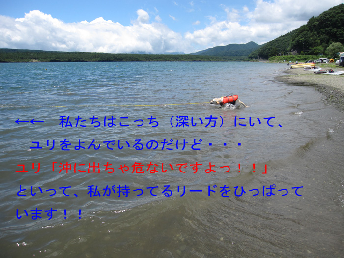 e0244621_9524887.jpg
