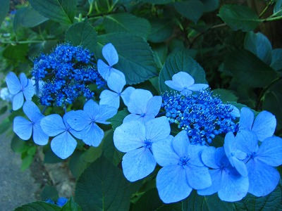a0137223_2258766.jpg
