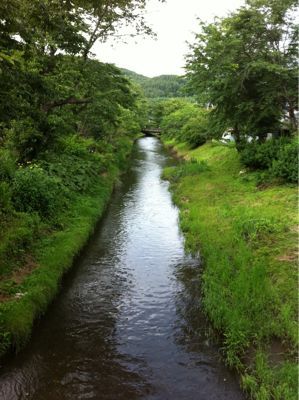 d0023725_15113741.jpg
