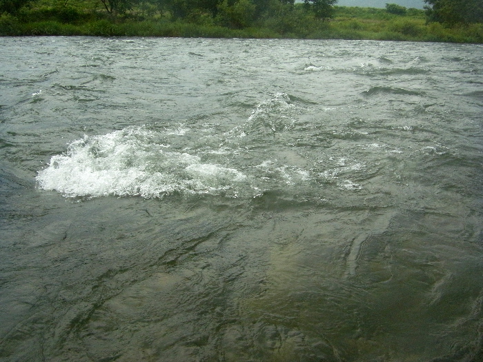 f0103126_21124241.jpg
