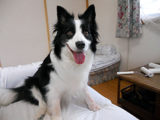 d0059230_17283390.jpg