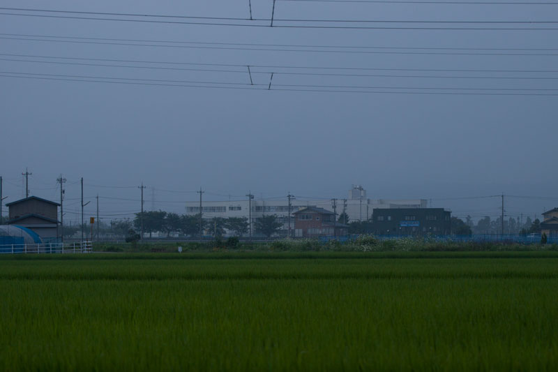 b0177233_4501892.jpg