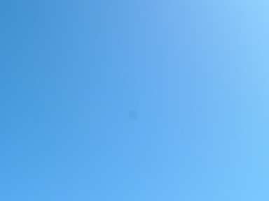 d0093433_11443184.jpg