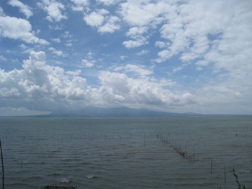 c0077338_5582885.jpg