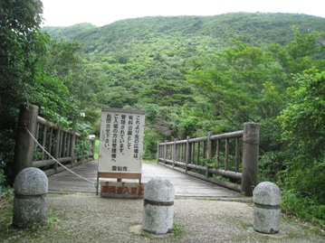 c0077338_5594432.jpg