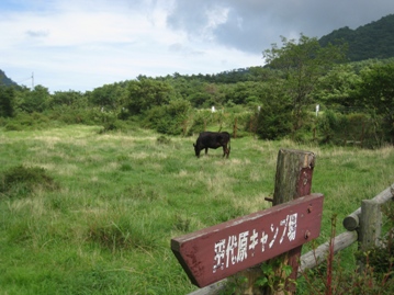 c0077338_612998.jpg