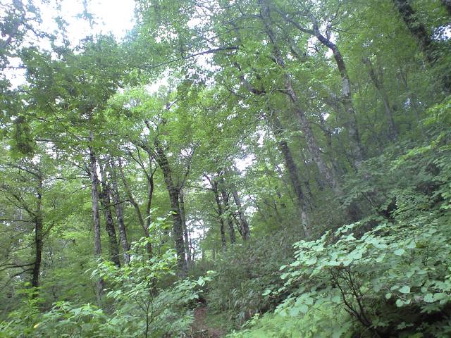 d0107938_12431811.jpg