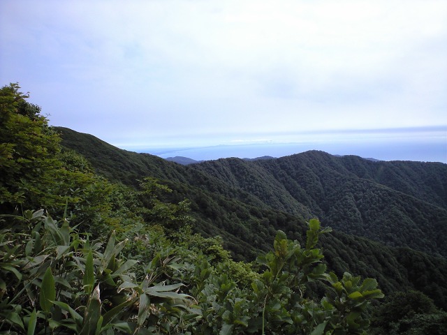 d0107938_124428.jpg